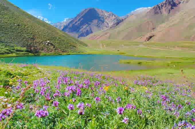 Información del hero