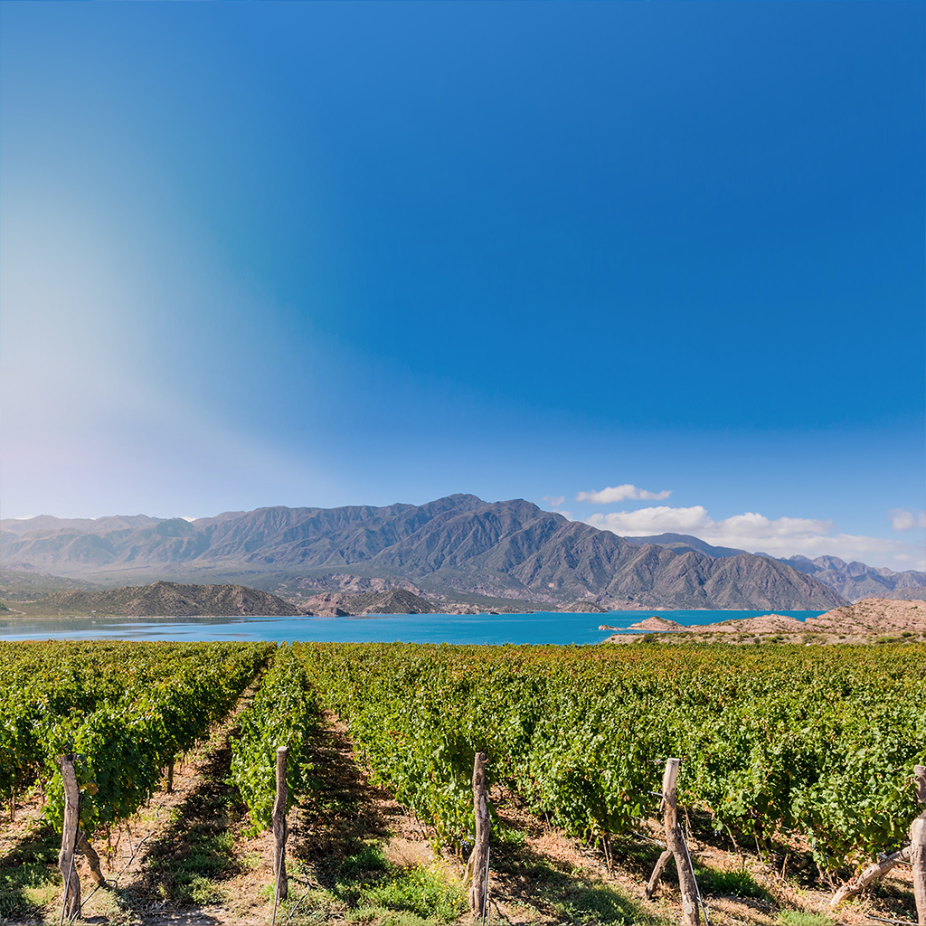 Información del hero